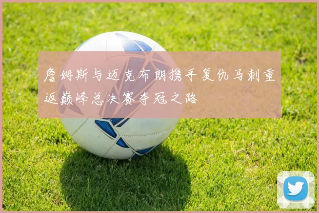 詹姆斯与迈克布朗携手复仇马刺重返巅峰总决赛夺冠之路